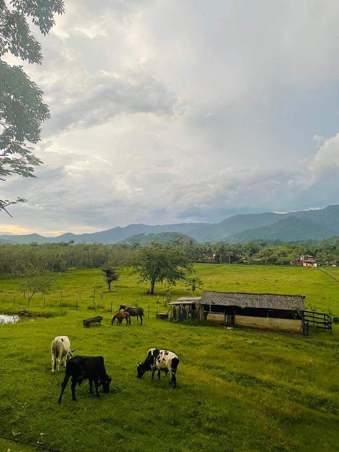 Aldeia De Camburi Ξενοδοχείο Camburi  Εξωτερικό φωτογραφία